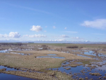 A scene from the video.