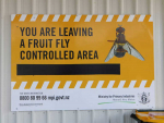 Auckland fruit fly operation ends