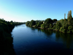 Farmers are disappointed by the Waikato Regional Council’s ‘delaying tactics’ around a judicial review for the Healthy River Plan Change.