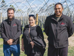 Finalists in the Young Maori Grower, Ahuwhenua Trophy Competition for Horticulture: Maatutaera Akonga, Finnisha Tuhiwai and Brandon Cross. Photo: alphapix.nz