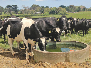 A milk fever-free campaign is underway in Taranaki.