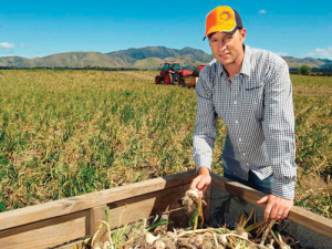 Chief executive of Marlborough Garlic John Murphy.