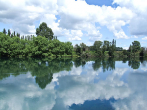 Waikato Regional Council has received a record over 1000 submissions on Healthy Rivers.