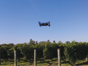 UAV flying over a vineyard block in Hawkes Bay.