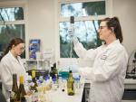 Earthworm eDNA Testing Offers New Insights into Vineyard Soil Health