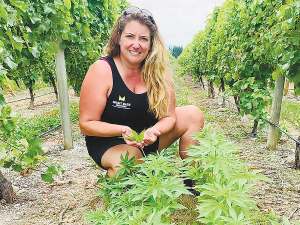 Kirsty Harkness first began looking at hemp as an alternative to seaweed fertilisers.