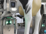 Conventional milking goes digital