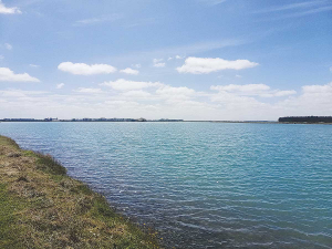 Planting around the edge of the irrigation lake is a part of a long-term biodiversity vision for the farm.