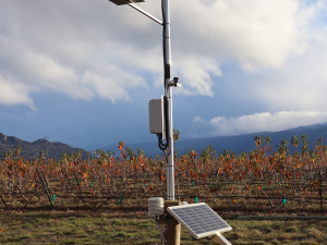 Despite the stormy start to February, weather conditions are looking positive for fruit growing regions.