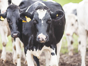 MPI are reminding farmers to register their animals with the NAIT scheme after one CEO failed to register 820 animals.