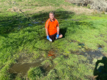 A council officer finds a stream is a bit deeper than thought, when sampling for effluent.