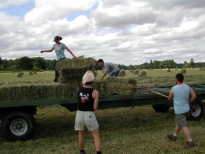 Paying your children for farm work has pitfalls