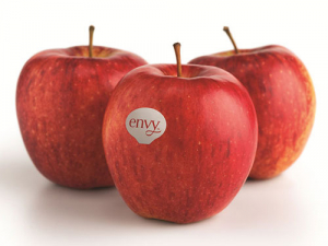New Zealand&#039;s Envy apple took top spot in the US Apple Association’s fiercely competitive Apple Madness bracket tournament.