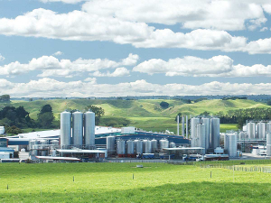 Fonterra says it owns 29 farms around its factories to irrigate  with excess water from manufacturing plants.