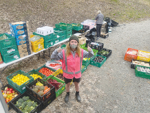 Fresh fruit and vegetables currently make up 46% of KiwiHarvest’s total rescued-food volume.
