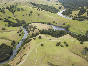 Detention bunds in Northland slow water flows, remove sediment and improves catchment resilience.