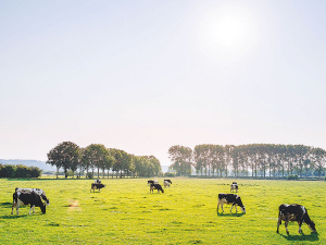 It feels like all eyes are on our farms and everyone wants information about every aspect.