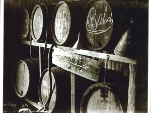 Growing Legacy: 110 Years of Babich Wines