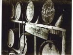 Growing Legacy: 110 Years of Babich Wines