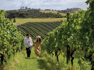 Global wine industry faces demand correction