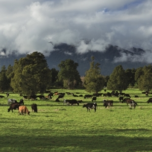 Watch spending, farmers told