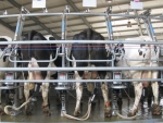 Reduce teat care costs