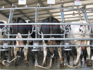 Reduce teat care costs