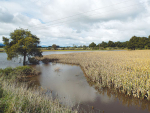 Parts of Hauraki Plains flooded earlier this year.