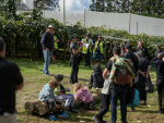 Ngati Hine Forestry Trust CEO Heidi Mackey (centre) hosts guests at Paparata Orchard. The Trust is one of three finalists in the 2026 Ahuwhenua Trophy Competition. Photo Credit: Alphapix.nz
