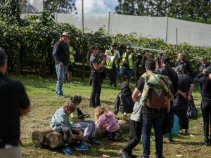Top Maori Orchard On Show