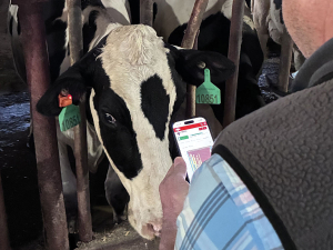 CowManager was built specifically for animal health and fertility monitoring.