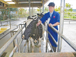 Veterinary sector in sustainability crisis