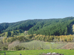 According to REINZ, farm sales are up from last year.