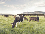 2023 is certainly set to be an interesting year for the farming sector.