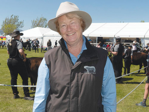 Kay Worthington at the cattle ring of the New Zealand Agricultural Show where Rangiora High School students were presenting her entries in the Lowline yearling heifer class. Photo: Rural News Group.