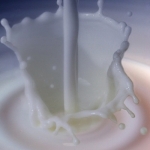 Global milk flood receding?