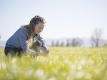 Record entries for ag award