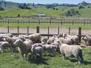 Camouflaged in the name of science, NZ farmers have truckloads of overreach ideology stuff dumped on them.