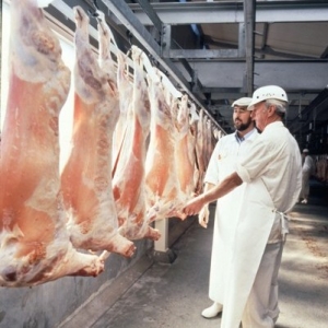 UK support for non-stun slaughter ban