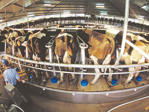 Maximise milking efficiency and improve udder health and milk quality.