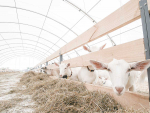 Goats cannot be expected to produce their best when they have to contend with nature&#039;s elements.