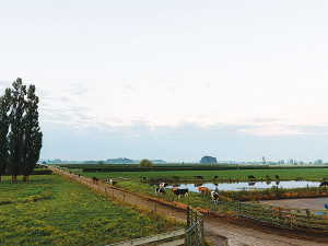 MPI are calling for proposals to research regenerative farming.