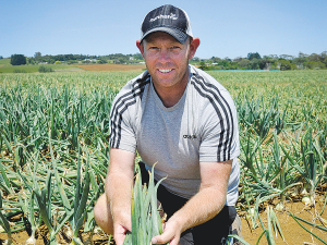 Onions New Zealand agronomist Rob Cox believes it is possible to grow a successful onion crop in New Zealand using fewer chemical sprays.