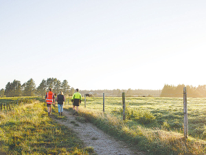 BFA and Craigs to host event on practical and emotional aspects of succession planning