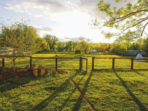 Farm sales have dropped in the three months to February 2022, according to data released by the Real Estate Institute of New Zealand.