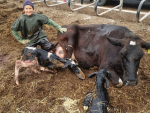 Vet, Jennifer Stone developed The ReGlove to address a long-standing sustainability issue.