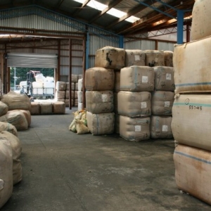 Wool market steady