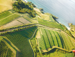 Haere Ra 2023: Waiheke