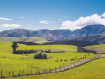 New Zealand Rural Land Company sells 25% of assets to Roc Partners