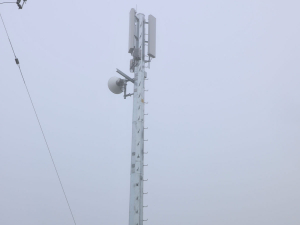The 250th 4G mobile tower, located in Wiltsdown, south of Hamilton